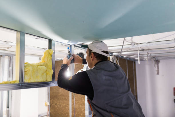 Best Insulation Installation Services in Leon, IA