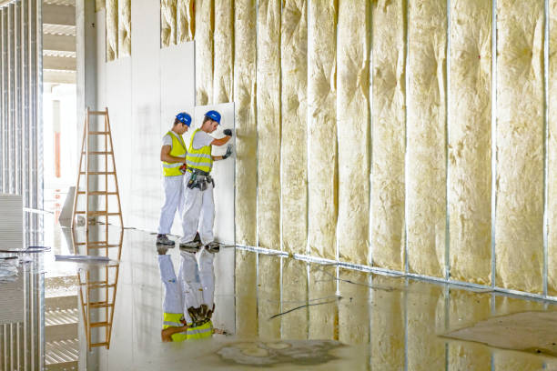 Best Commercial Insulation in Leon, IA